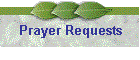 Prayer Requests